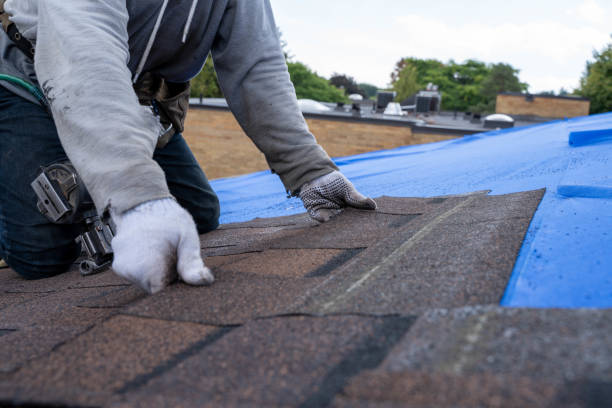 Sealant for Roof in Genesee, ID